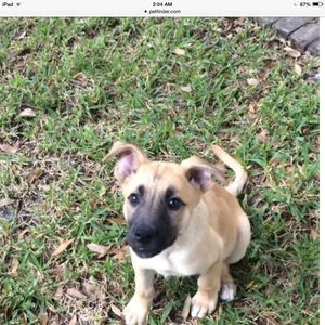 Meet your Posher, Carole